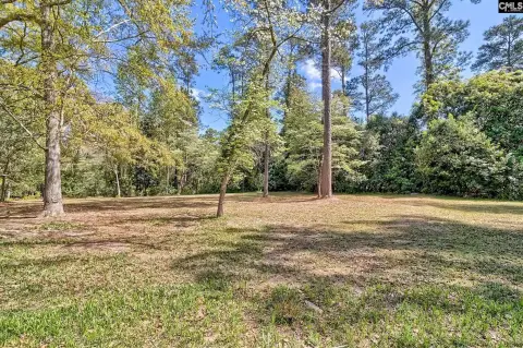 Wooded Lot Near Downtown Lexington