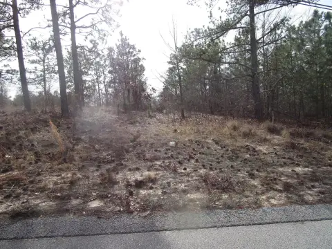 Residential Lots in Hephzibah, GA