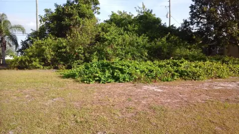 Land in Sebastian, Florida