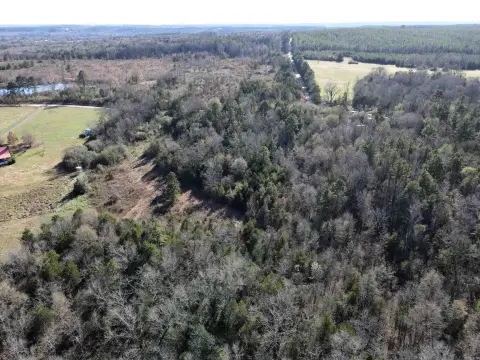 Cleveland, Arkansas Acreage For Sale