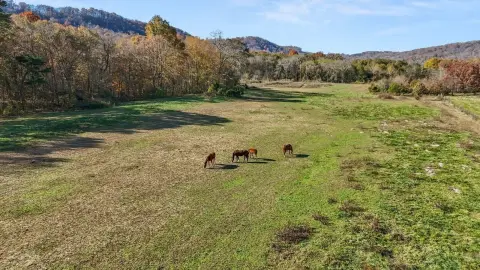 Agricultural Land with Pond