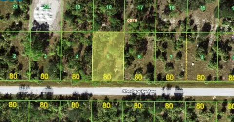 Residential Lot in Port Charlotte