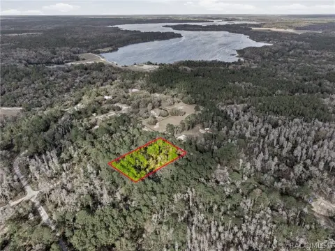 Crystal River Wooded Homesite