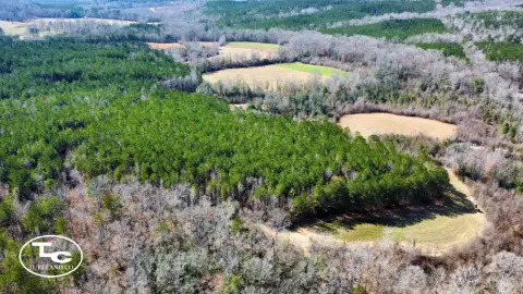 Timber and Pasture Hunting Land