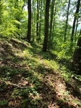Hunting Land with Rugged Terrain