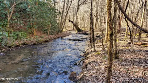 332 Acres of Wooded Land