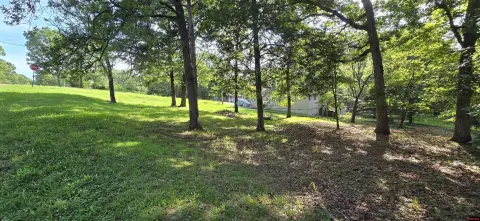 Residential Lot Near Bull Shoals