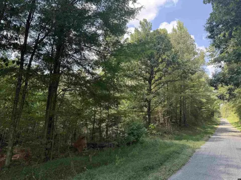 Dresden, TN Farm Land