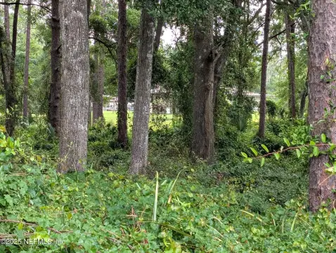 Keystone Heights Wooded Lot