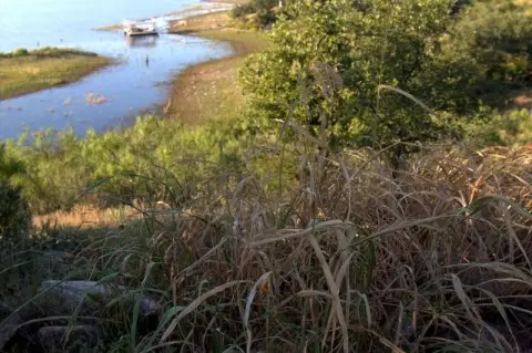 Land at The Hideout Golf