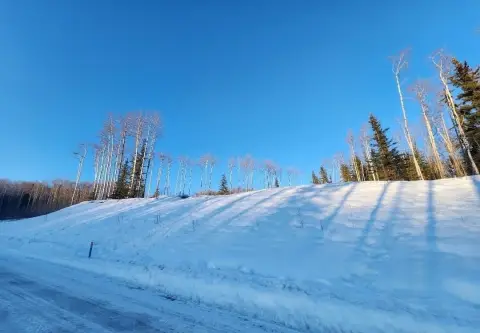 Fairbanks Residential View Lot