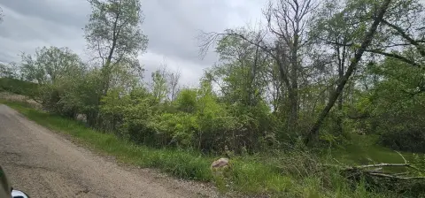 Residential Acreage in Albion, MI