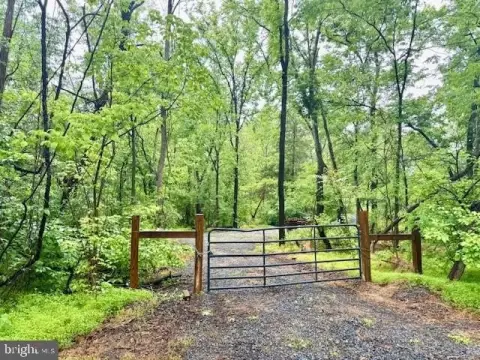 Wooded 7.25 Acre Lot