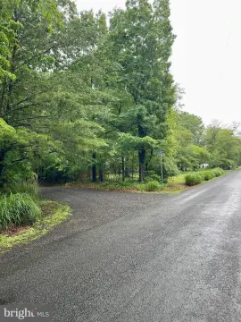 Amissville Wooded 10-Acre Parcel