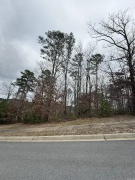 Residential Lot in Chenal Valley