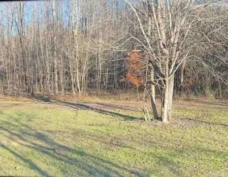 Heber Springs Acreage with Potential