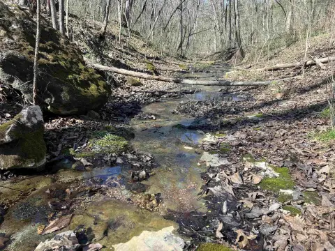 Land Near Buffalo National Park