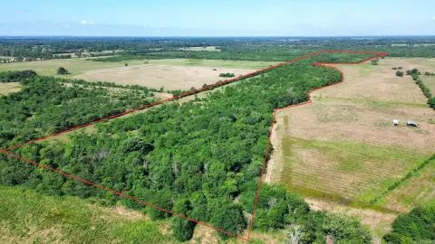 Recreational Timber Land with Creek Frontage