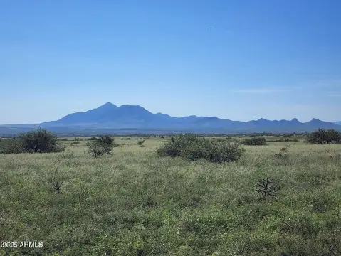 Hereford Land with Mountain Views