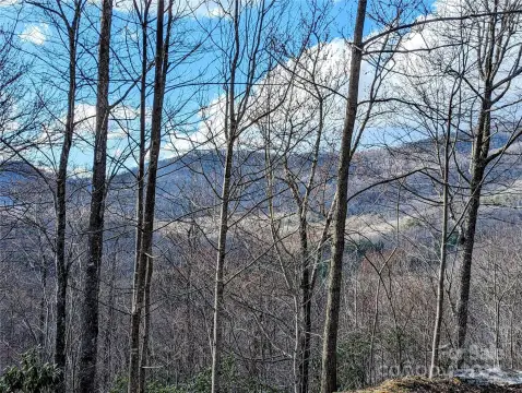 Tuckasegee Mountain View Acreage