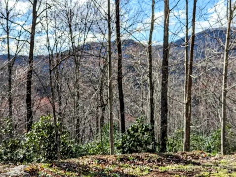 Tuckasegee Mountain View Acreage