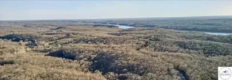 75 Acres Timbered Land with Pond