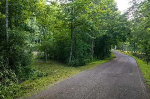Hunting Land with Road Water Access
