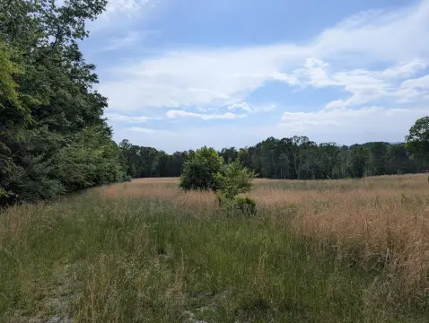 Unrestricted Land in Grandview, TN