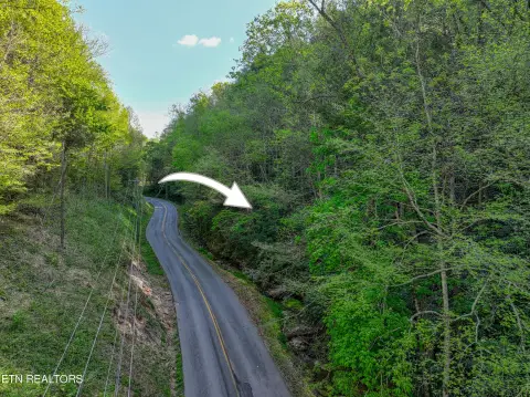Wooded Commercial Land
