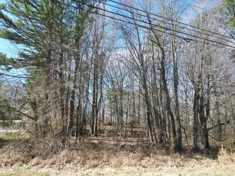 Level Corner Lot Opportunity