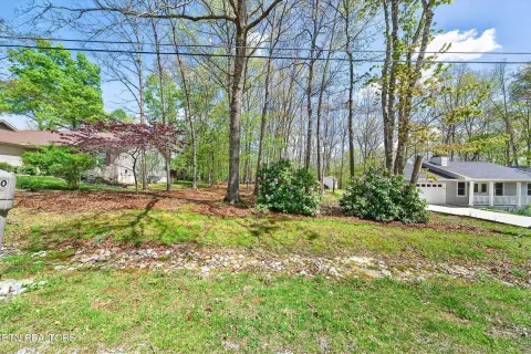 Fairfield Glade Wooded Lot