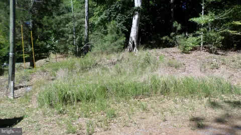 Perk-Approved Homebuilding Lot