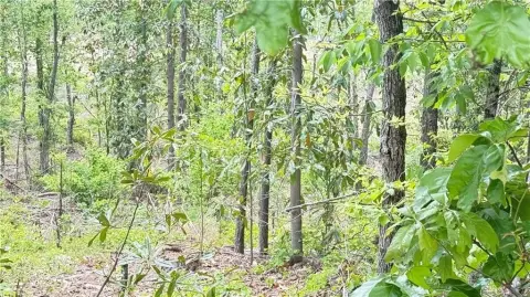 Residential Land in Dallas, GA