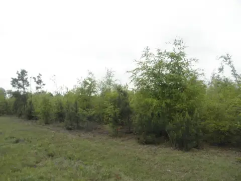 Highway 23 Land For Sale