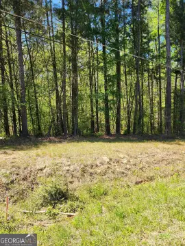Covington, GA - 1 Acre Lot