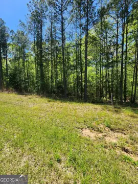 Covington, GA Land Opportunity