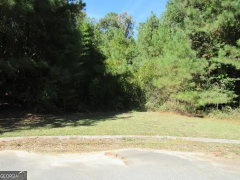 Residential Lot in Macon, GA