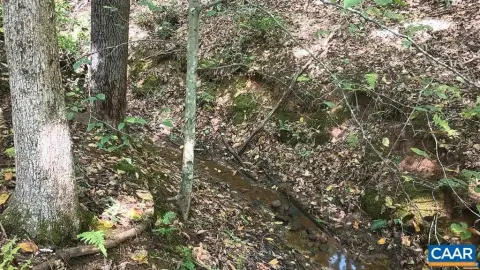 Wooded Residential Recreational Land