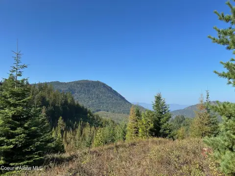 Mountain Farmland Tract with Timber