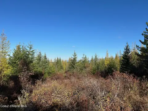 Mountain View Land Parcel