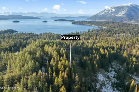 Estate-Size Mountain View Home Site