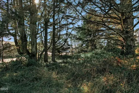 Residential Lot Near Roads End