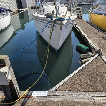 Marina Slip with Boat Dock