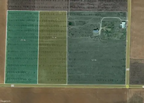 Old Pecan Farm Tract with Road Frontage