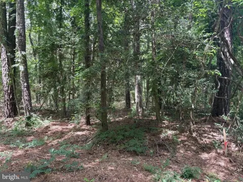 Waterfront Residential Double Lot