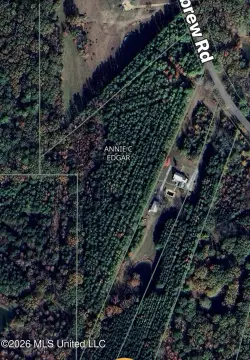 Wooded Recreational Land Tract