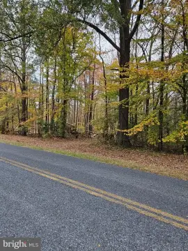 Wooded Hunting Tract with Pond