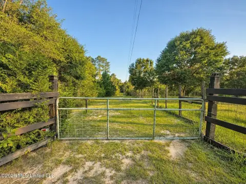 Wooded Hunting Land with Creek