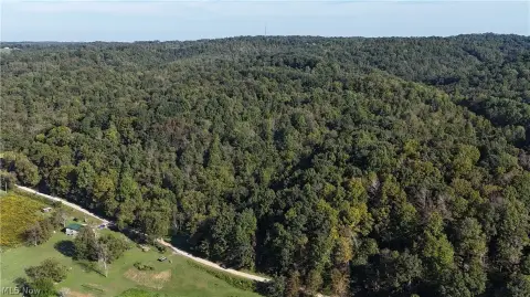Wooded Hunting Land