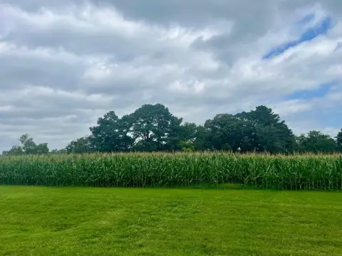 Waterfront Lot in Winding Creek